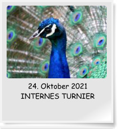 24. Oktober 2021 INTERNES TURNIER