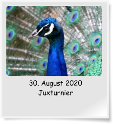 30. August 2020 Juxturnier