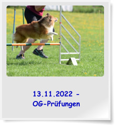 13.11.2022 - OG-Prfungen