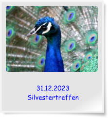 31.12.2023 Silvestertreffen