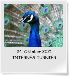 24. Oktober 2021 INTERNES TURNIER