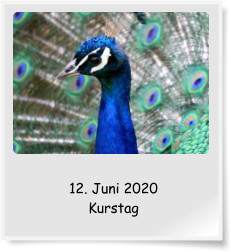 12. Juni 2020 Kurstag