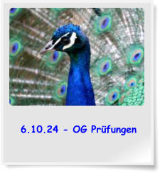 6.10.24 - OG Prfungen